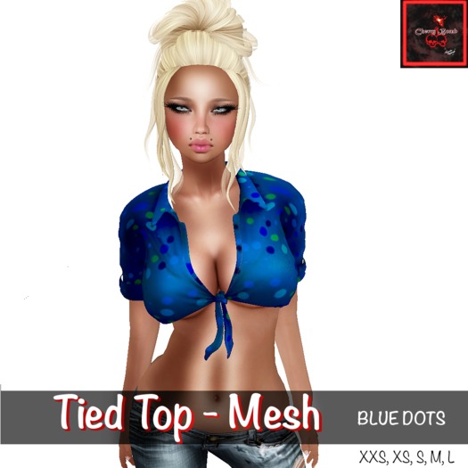 Tied Top - Mesh - Blue Dots
