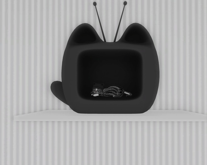 KittenS Cat TV Fatpack