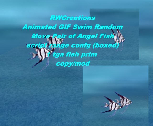 Animated GIF Swim Random Move pair of Angle Fish 1 prim script range config (boxed) 