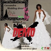 Demo Cassandra Wedding mesh