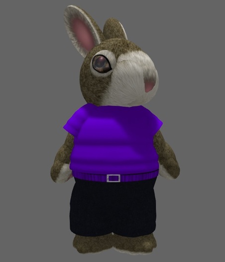 Tiny Purple T-Shirt & Purple Belted Jeans