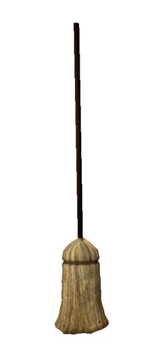 Broom 1 Prim by Rita Munro