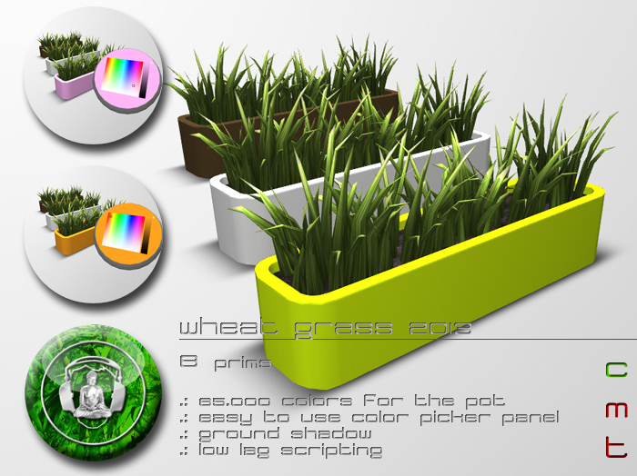 .:buddhabeats:. wheat grass 2013