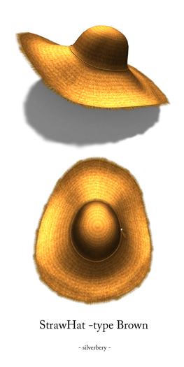 silverberry StrawHat -type Brown
