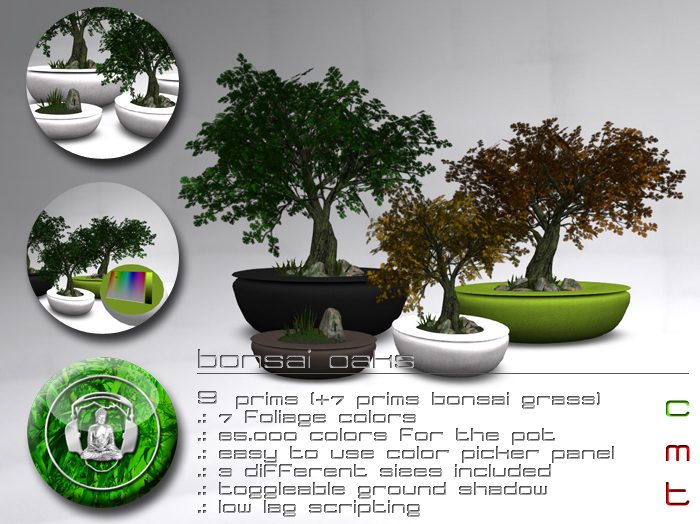 .:buddhabeats:. Bonsai Oak BOX 2013