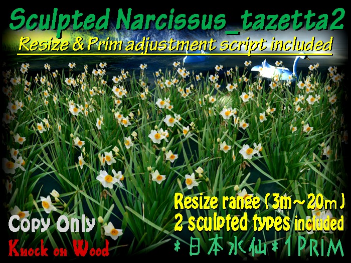 [KoW] Sculpted Narcissus_tazetta2 (Resize & adjustment)