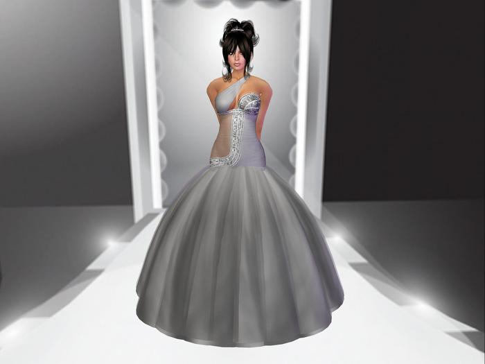 Zennya's Closet Silver Dress Gown