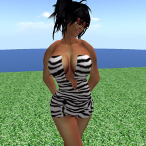 mini zebra dress