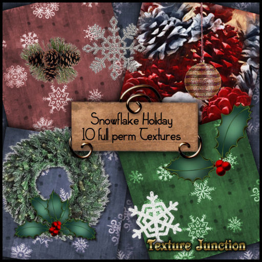 ~TJ~  Snowflake Holiday