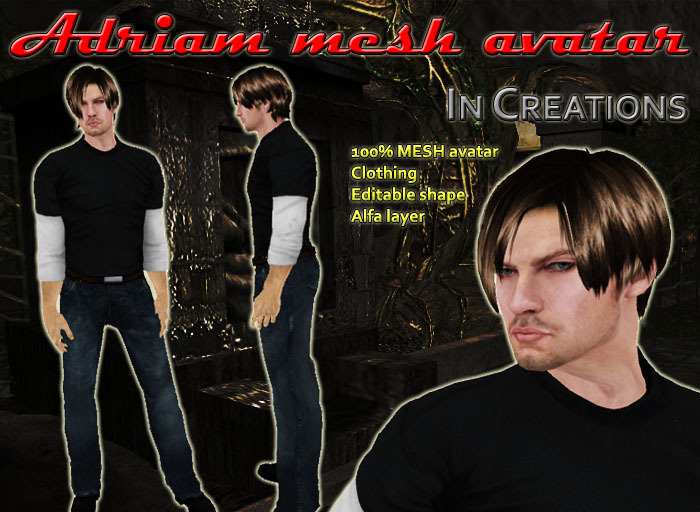 Adriam mesh avatar