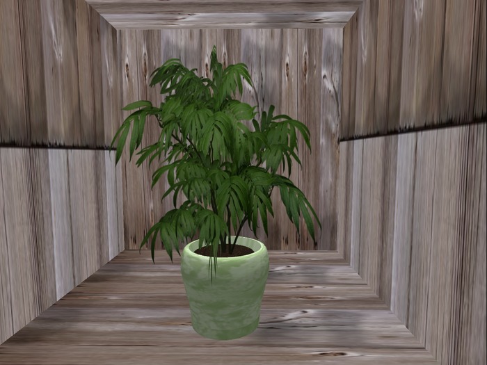 Plant Tropical Box