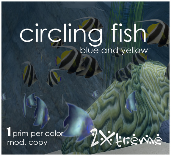 :: 2Xtreme :: circling fish copy