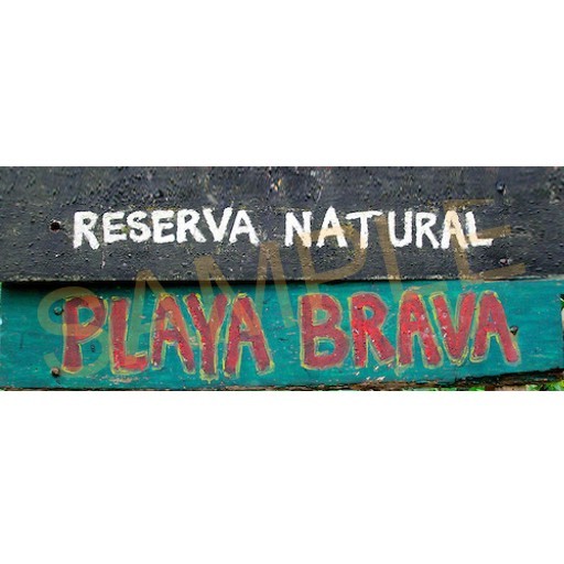 AUTHENTIC PLAYA BRAVA SIGNO mod / trans, great gift