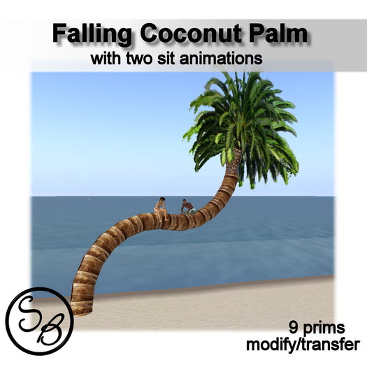 Falling coconut palm