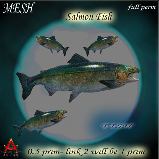 Full Perm salmon fish