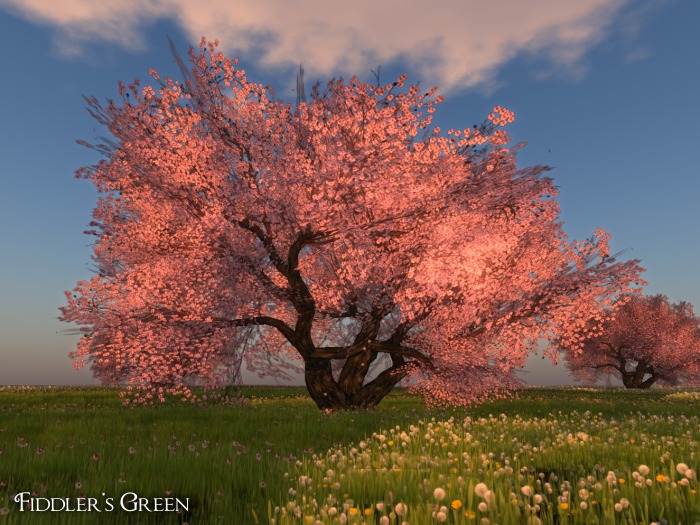 FG Cherry 9 pink (COPY)