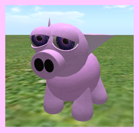 Wingsong Pig Companion Box