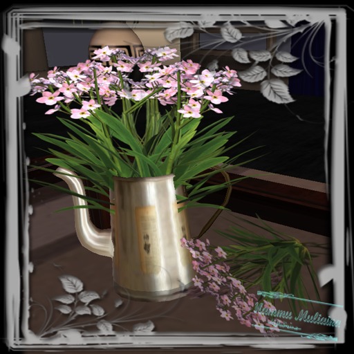 Forgetmenots in watering can 