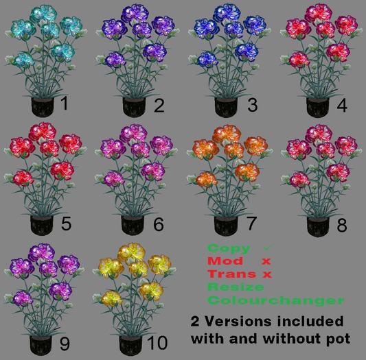 !!! NEW !!! Carnation 10 colours