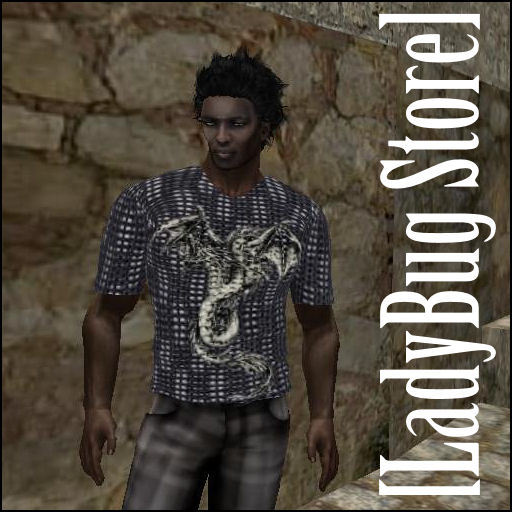 [LadyBug Store]Dragon Gray T-shirt Mesh