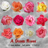 ~TJ~  A Dozen Roses