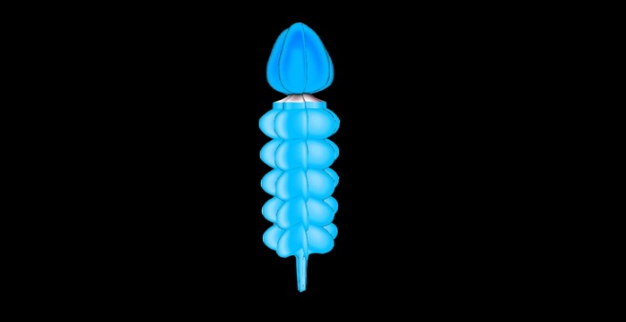 One Prim blue candle