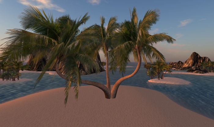3 Palms Sculpted  7 Prims