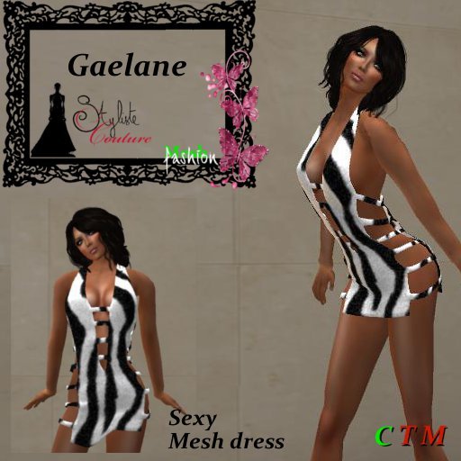 GAELANE  Mini Halter Dress Zebra