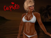 Light Grey Bikini 