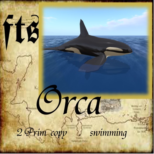 Orca wal