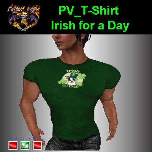 PV_T-Shirt Irish For a Day