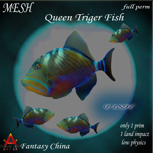 Queen triger fish Mesh Fish Full perm 