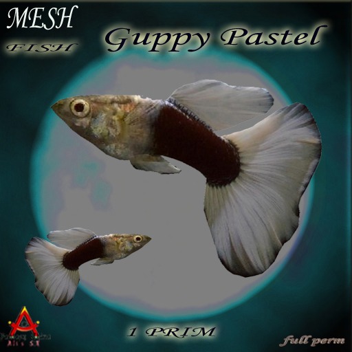   Guppy Pastel MeshFish Full perm 