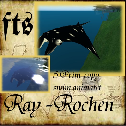 Manta Rochen