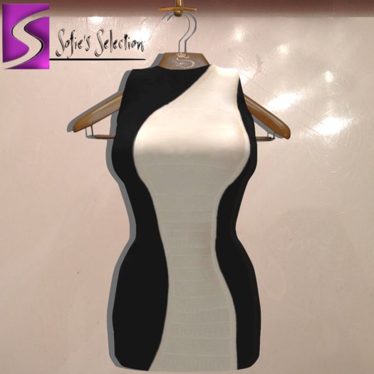 <S> Mesh Mini Silhouette Dress Black