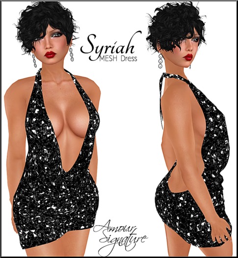 Amour Signature - Syriah MESH Dress - Night