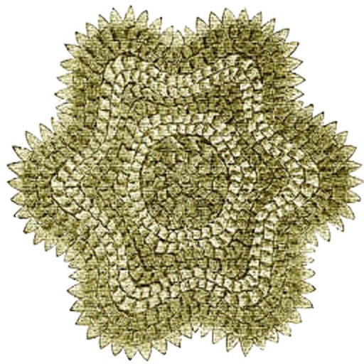 Star Woven Rug - Olive