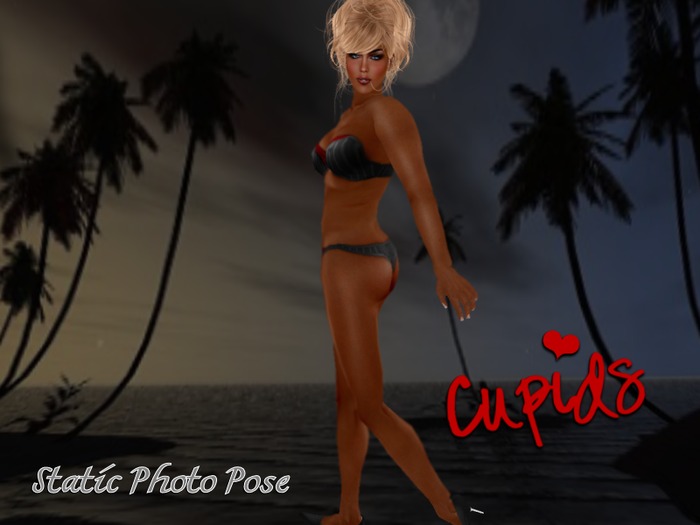 SEXY POSE 14