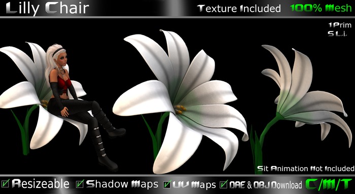 EVO - Lilly Chair Boxed 