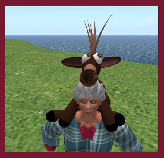 Wingsong Mini Donkey Shoulder Buddy Box