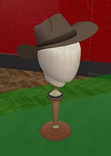 Cowboy hat 1