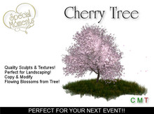 Cherry Blossom Tree - Promo Price!