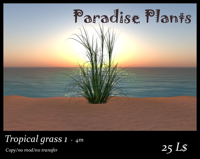 Tropical grass 1 - 4m