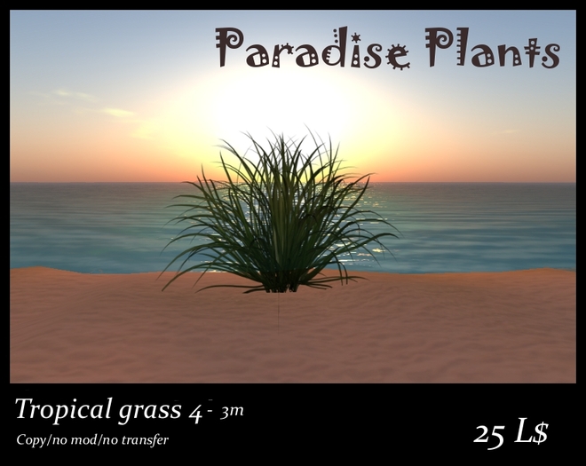 Tropical grass 4 - 3m