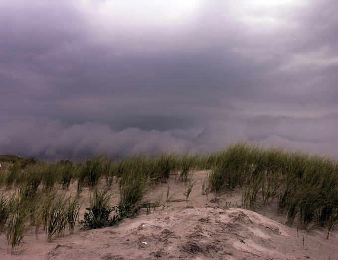 Vista Stormy Beach Window