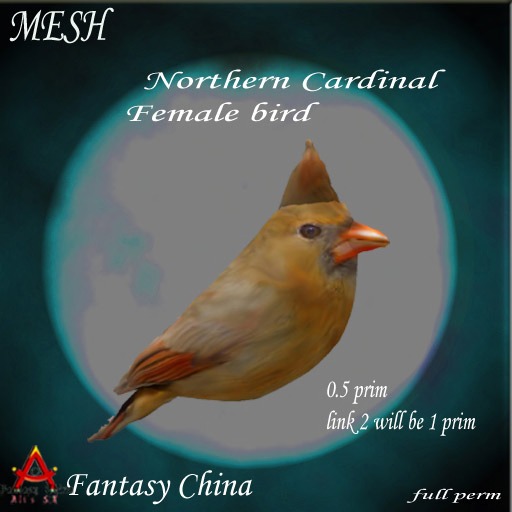 Mesh Northern Cardinal Female bird only 0.5 prims special MP price 