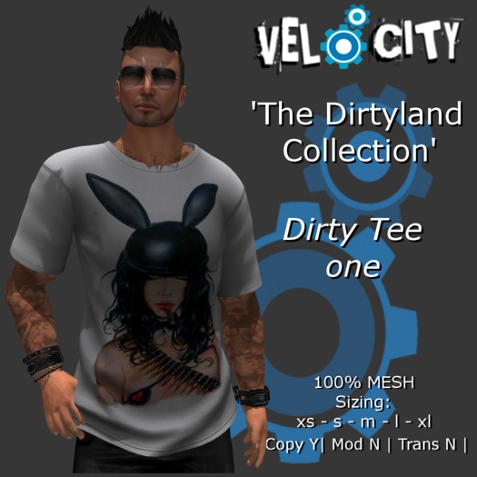 VELOCITY Dirtyland 1 Tee