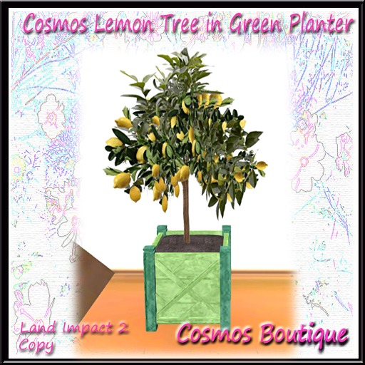 Cosmos Lemon Tree in Green Planter (Part MESH) (Box)