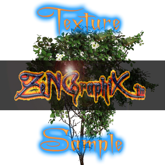 [ZeNGraphiX] Plant Texture-White Blossom Branch 2
