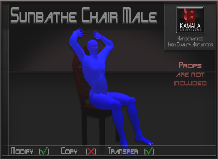 Activities *Sunbathe Chair Male* Transferable Poseball